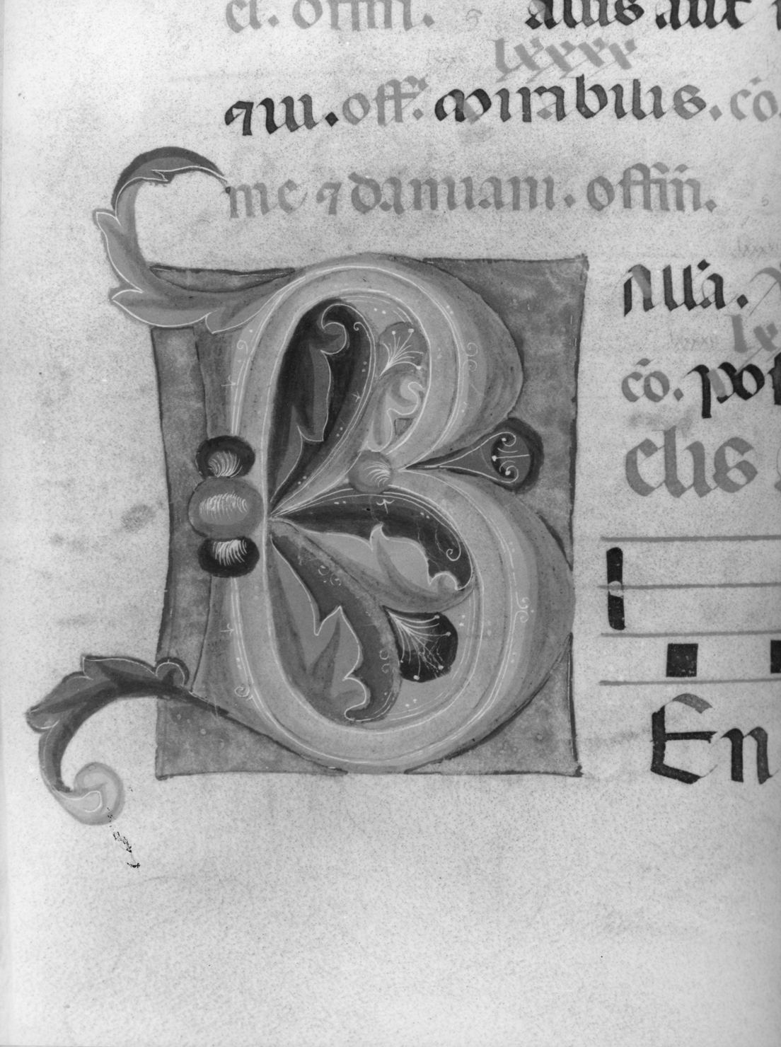 lettera vegetalizzata (miniatura, elemento d'insieme) - bottega senese (terzo quarto sec. XIV)