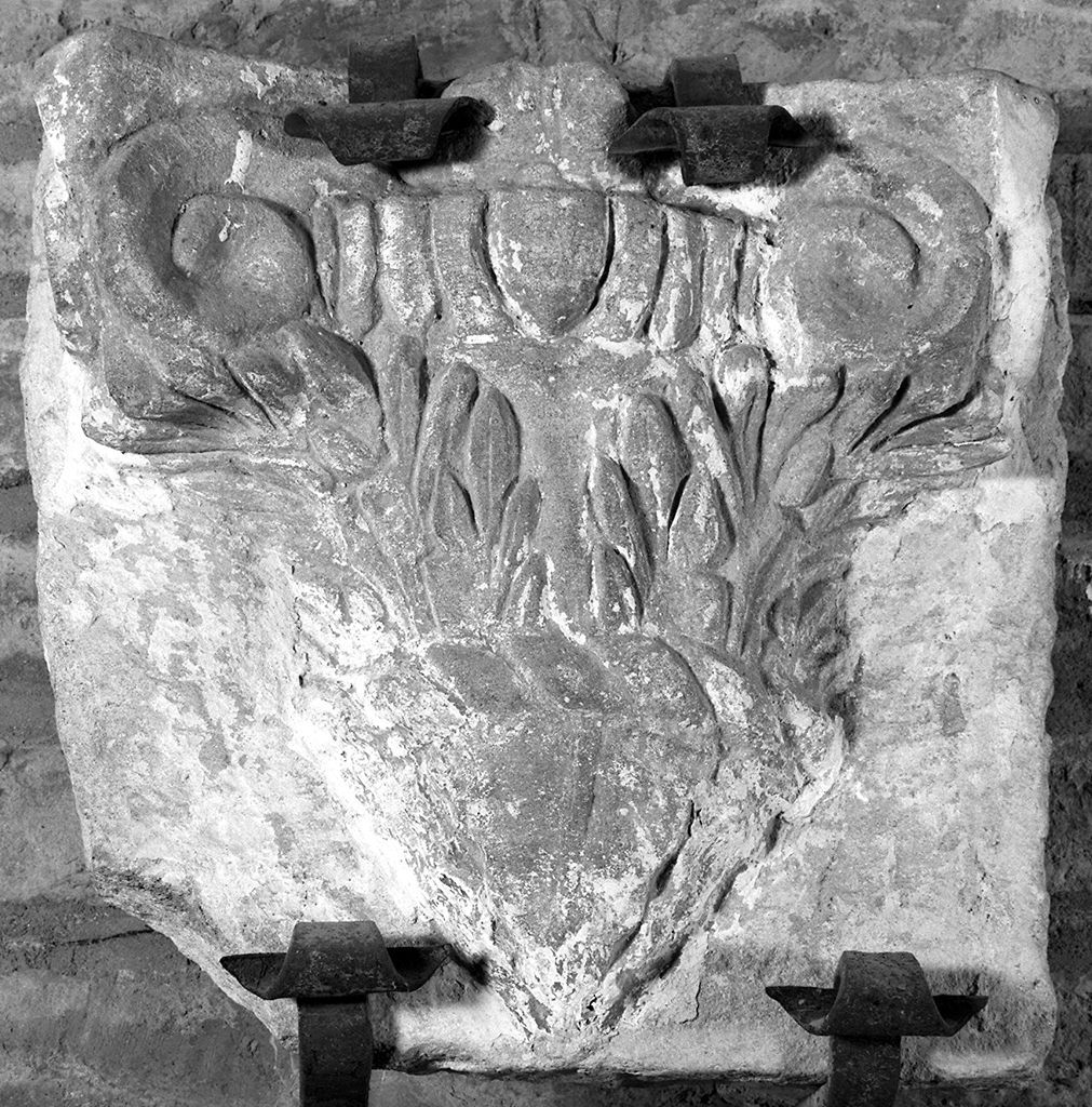 peduccio, serie - ambito senese (prima metà sec. XVI)