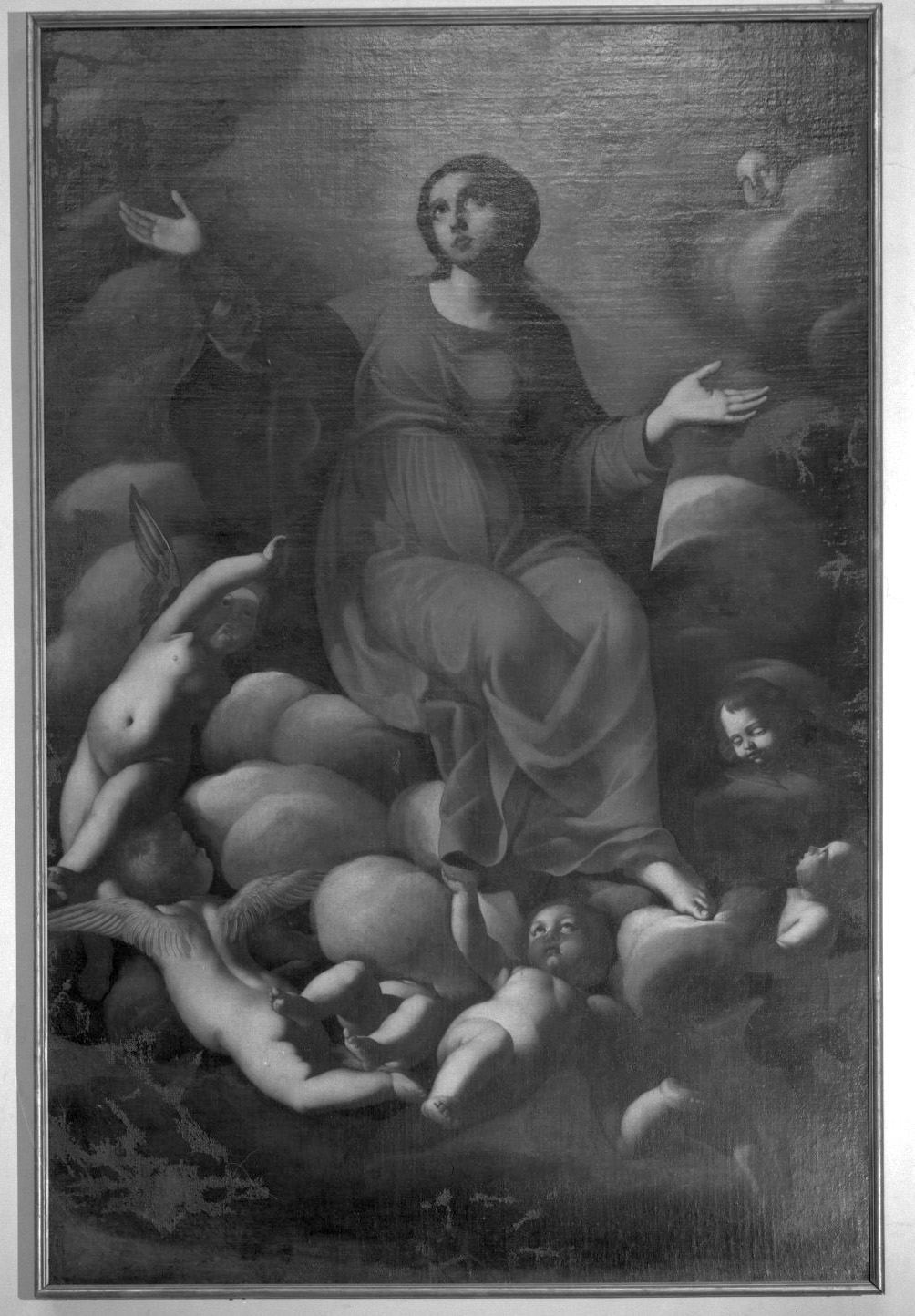 Madonna Assunta (dipinto, opera isolata) - bottega romana (sec. XVII)