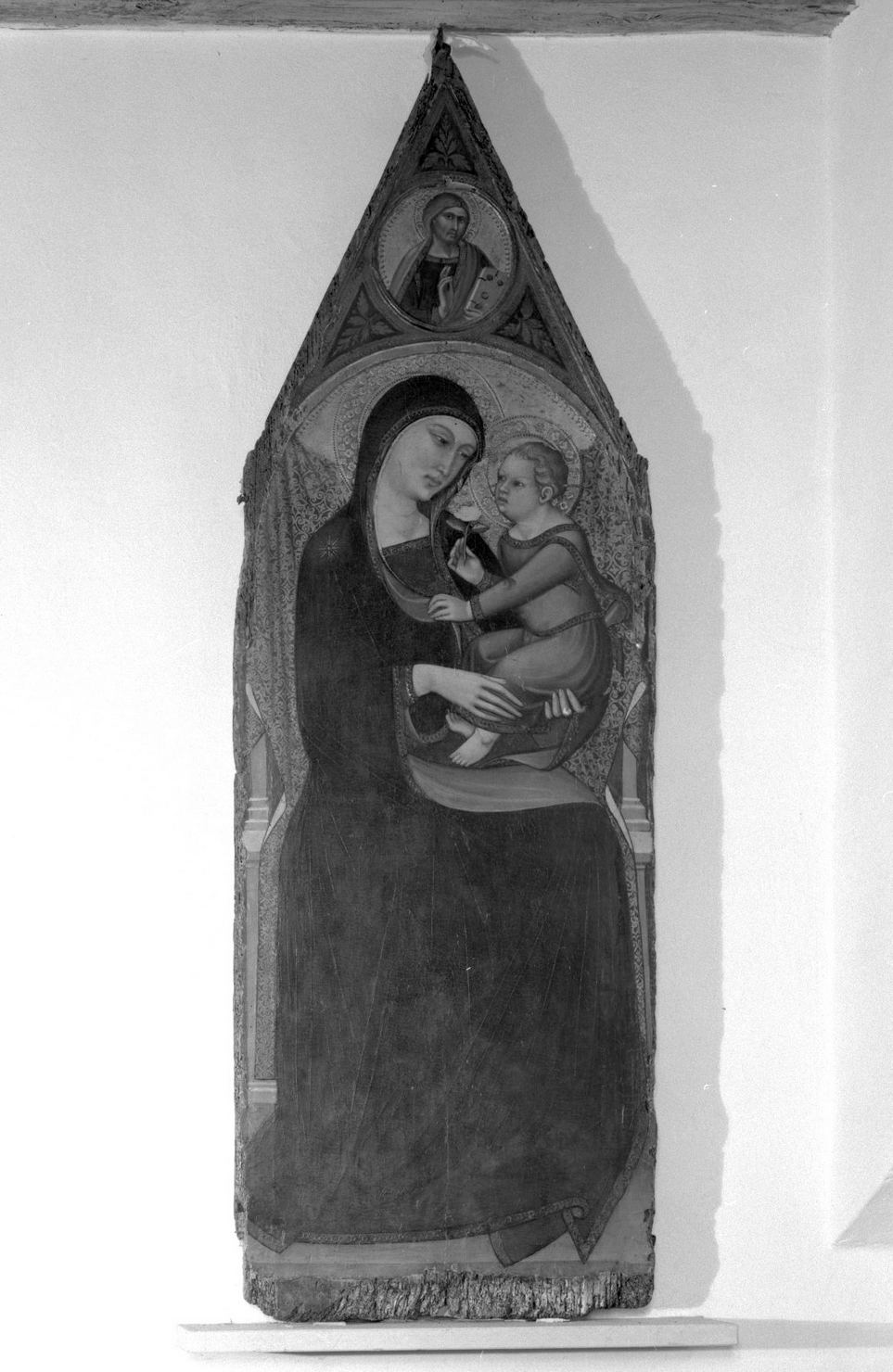Madonna con Bambino (dipinto, opera isolata) di Luca di Tommè (terzo quarto sec. XIV)