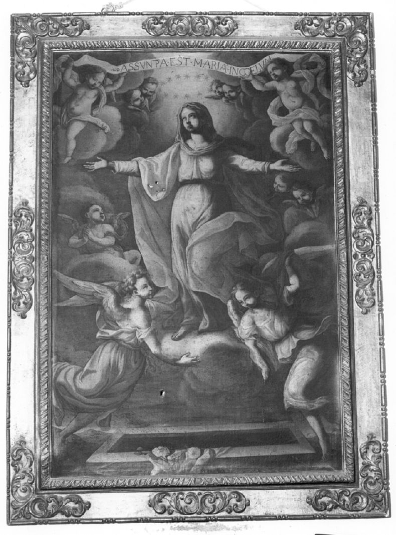 assunzione della Madonna (dipinto) - ambito toscano (secc. XVII/ XVIII)