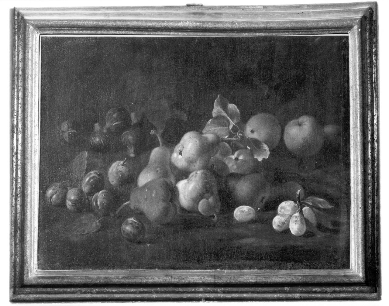 natura morta con frutta (dipinto, elemento d'insieme) - ambito lucchese (secc. XVII/ XVIII)