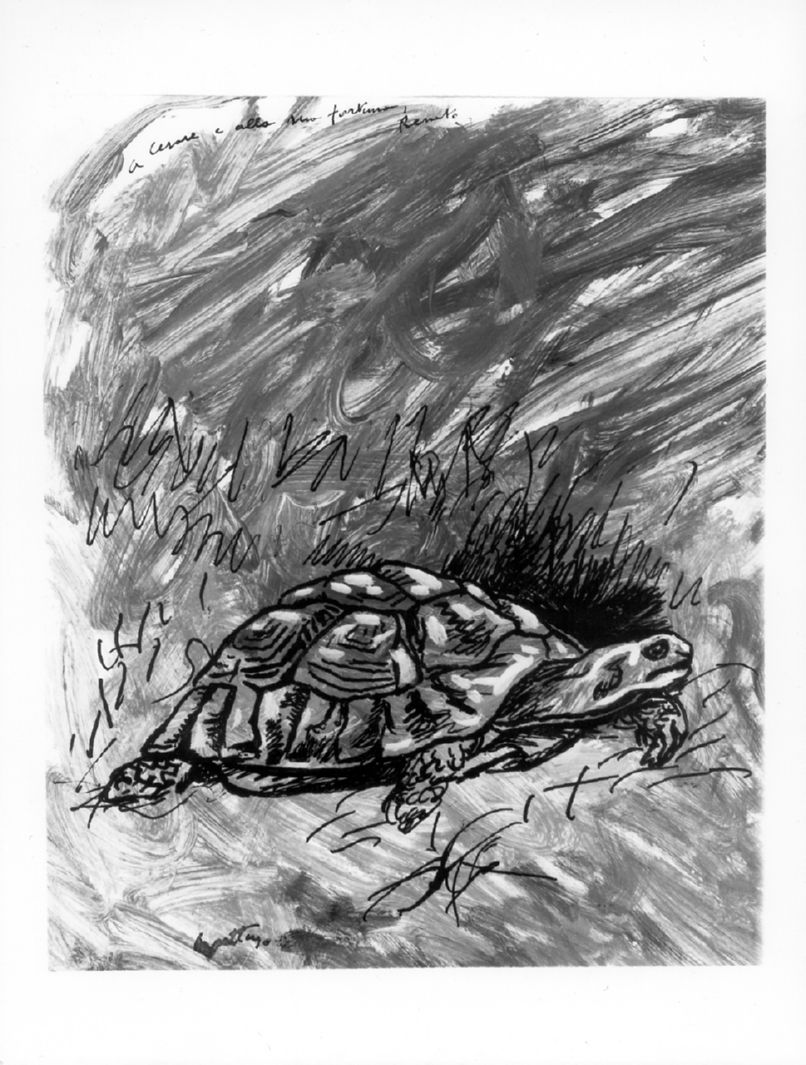 tartaruga (dipinto) di Guttuso Renato (sec. XX)
