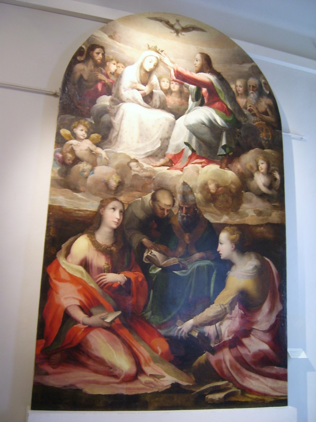 incoronazione di Maria Vergine (dipinto) di Beccafumi Domenico detto Mecarino (sec. XVI)