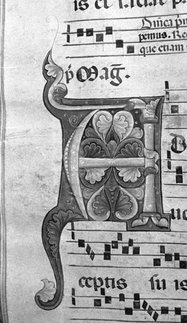 lettera vegetalizzata (miniatura, elemento d'insieme) - ambito toscano (secc. XIII/ XIV)