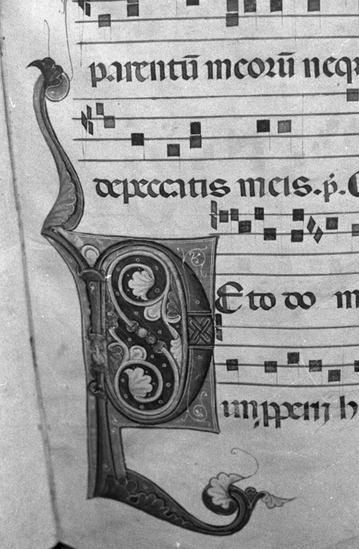 lettera vegetalizzata (miniatura, elemento d'insieme) - ambito toscano (secc. XIII/ XIV)