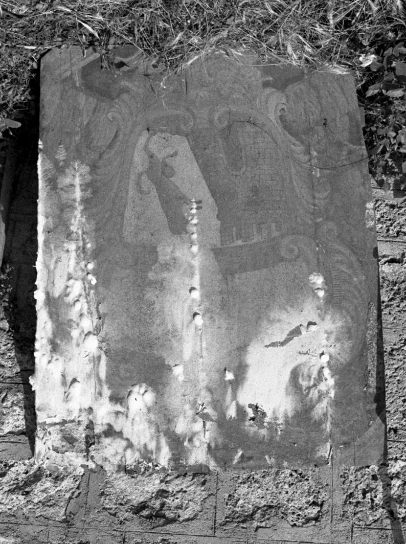 stemma (dipinto) - ambito toscano (sec. XVIII)