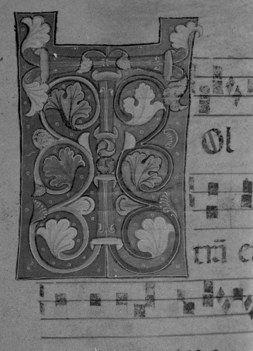 lettera vegetalizzata (miniatura, elemento d'insieme) - ambito toscano (secc. XIII/ XIV)