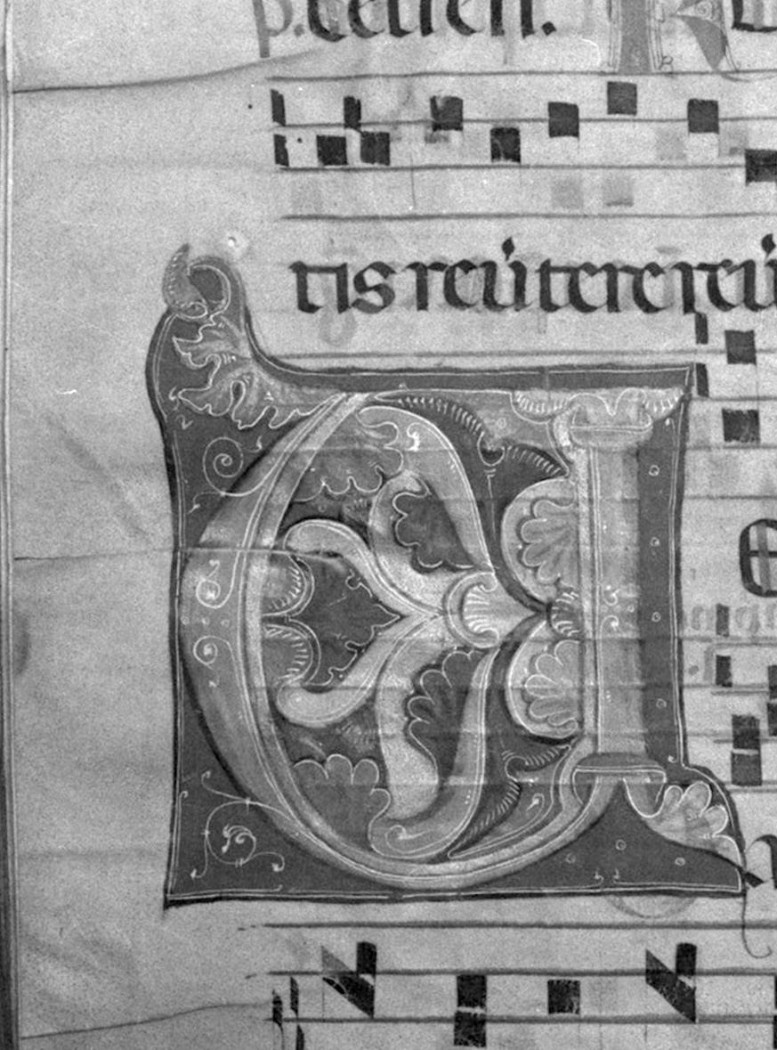 lettera vegetalizzata (miniatura, elemento d'insieme) - ambito toscano (secc. XIII/ XIV)