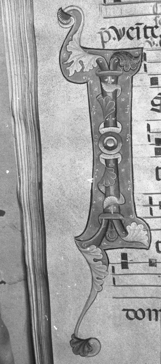 lettera vegetalizzata (miniatura, elemento d'insieme) - ambito toscano (secc. XIII/ XIV)