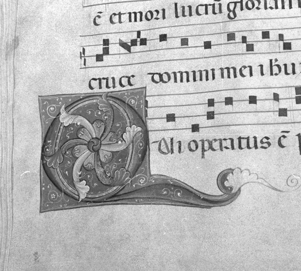 lettera vegetalizzata (miniatura, elemento d'insieme) - ambito toscano (secc. XIII/ XIV)