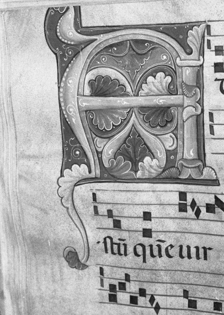 lettera vegetalizzata (miniatura, elemento d'insieme) - ambito toscano (secc. XIII/ XIV)