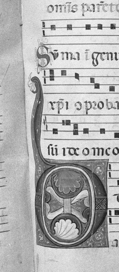 lettera vegetalizzata (miniatura, elemento d'insieme) - ambito toscano (secc. XIII/ XIV)