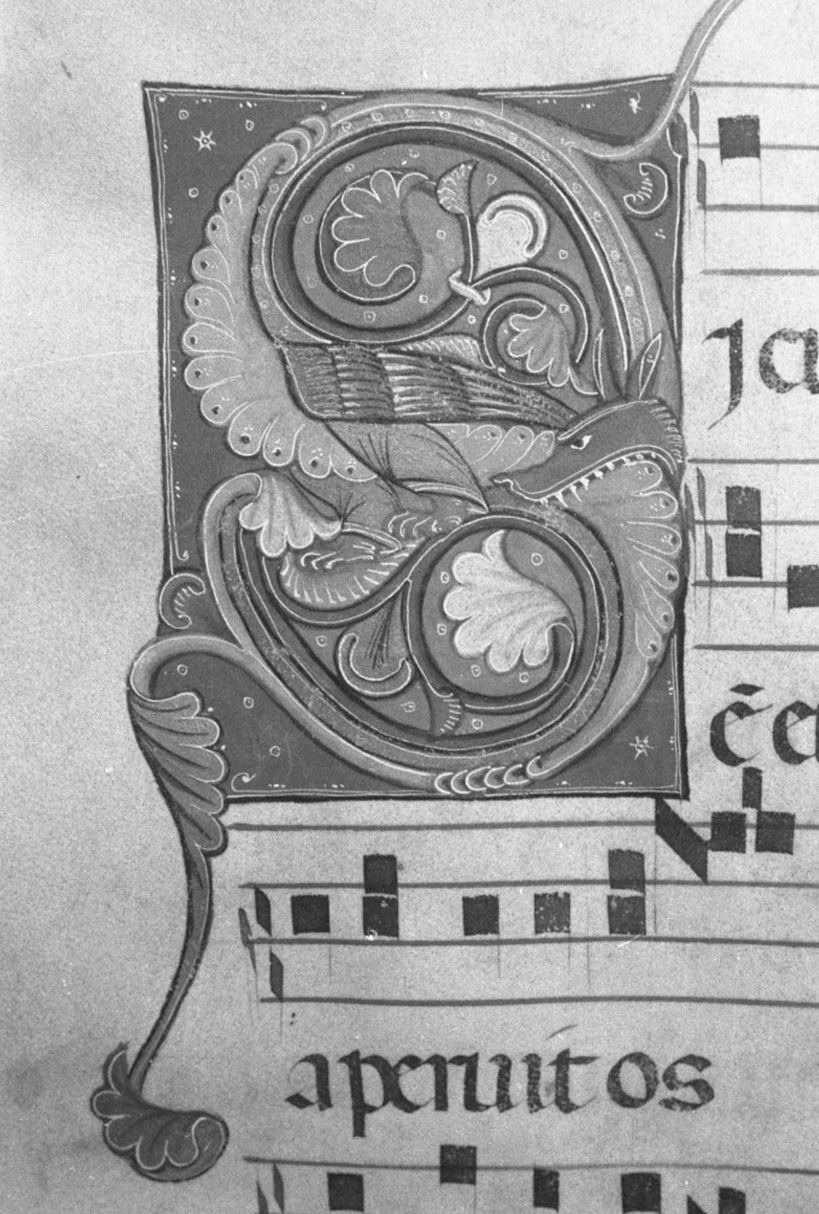 lettera vegetalizzata (miniatura, elemento d'insieme) - ambito toscano (secc. XIII/ XIV)