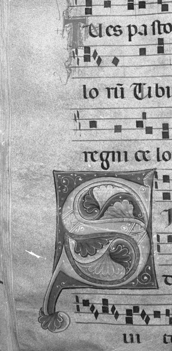 lettera vegetalizzata (miniatura, elemento d'insieme) - ambito toscano (secc. XIII/ XIV)