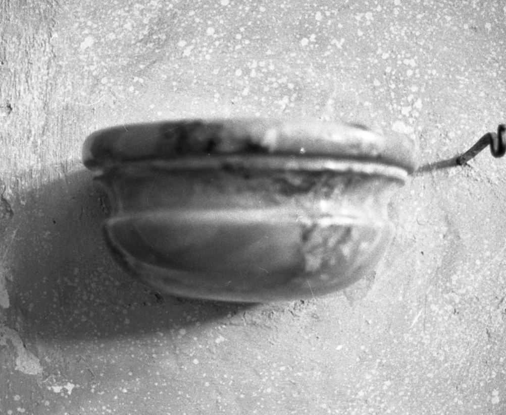 acquasantiera da parete - bottega toscana (seconda metà sec. XVIII)