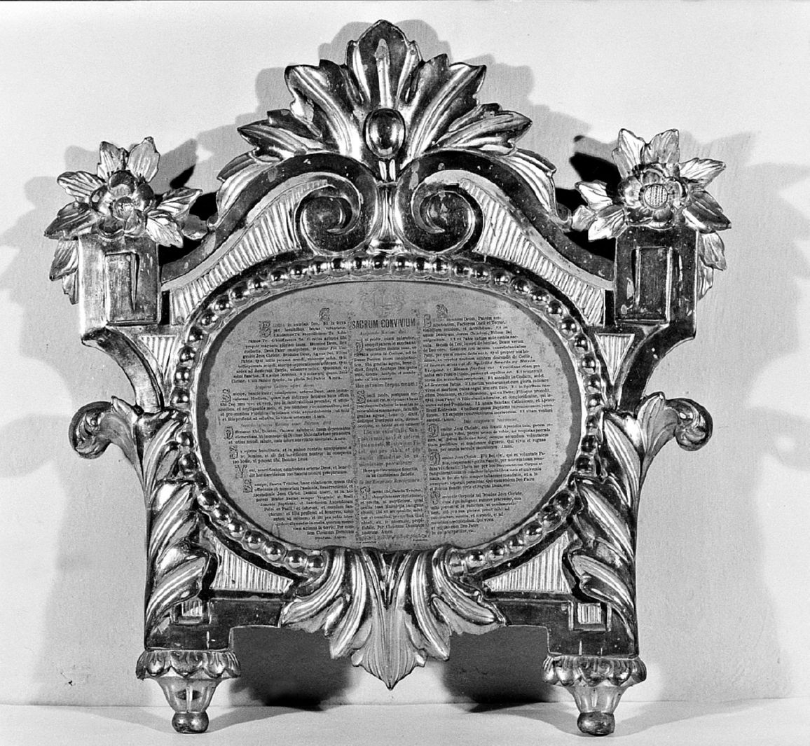 motivi decorativi vegetali (cartagloria, serie) - bottega senese (sec. XIX)