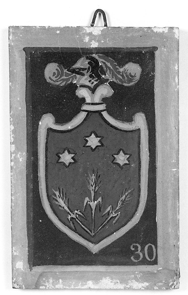 stemma gentilizio della famiglia Tozzi (dipinto, elemento d'insieme) - ambito senese (sec. XX)