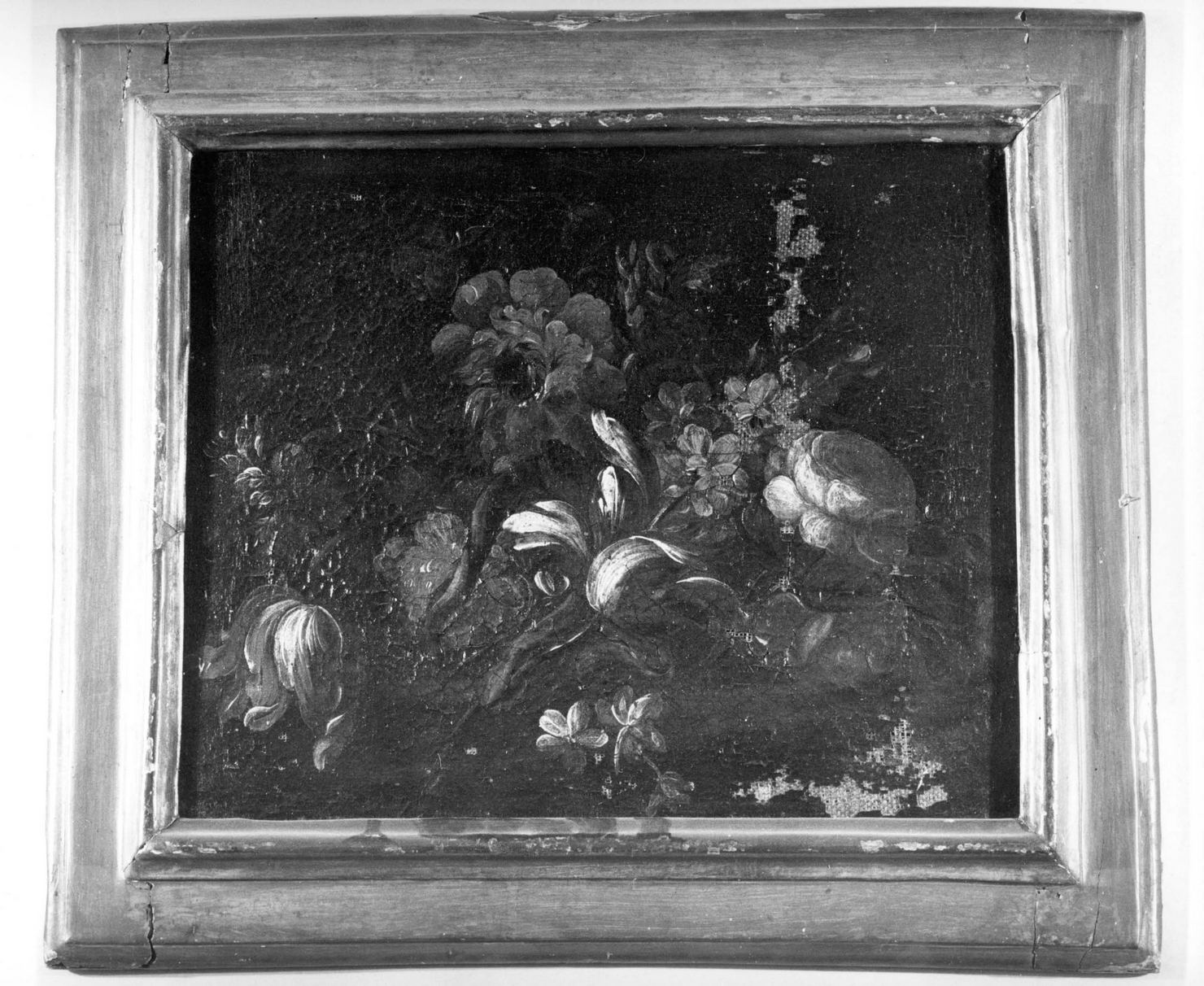 natura morta (dipinto, elemento d'insieme) - ambito bolognese (seconda metà sec. XVII)