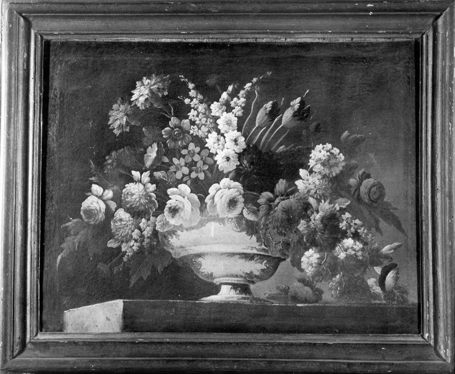 natura morta (dipinto, elemento d'insieme) - ambito toscano (prima metà sec. XVIII)