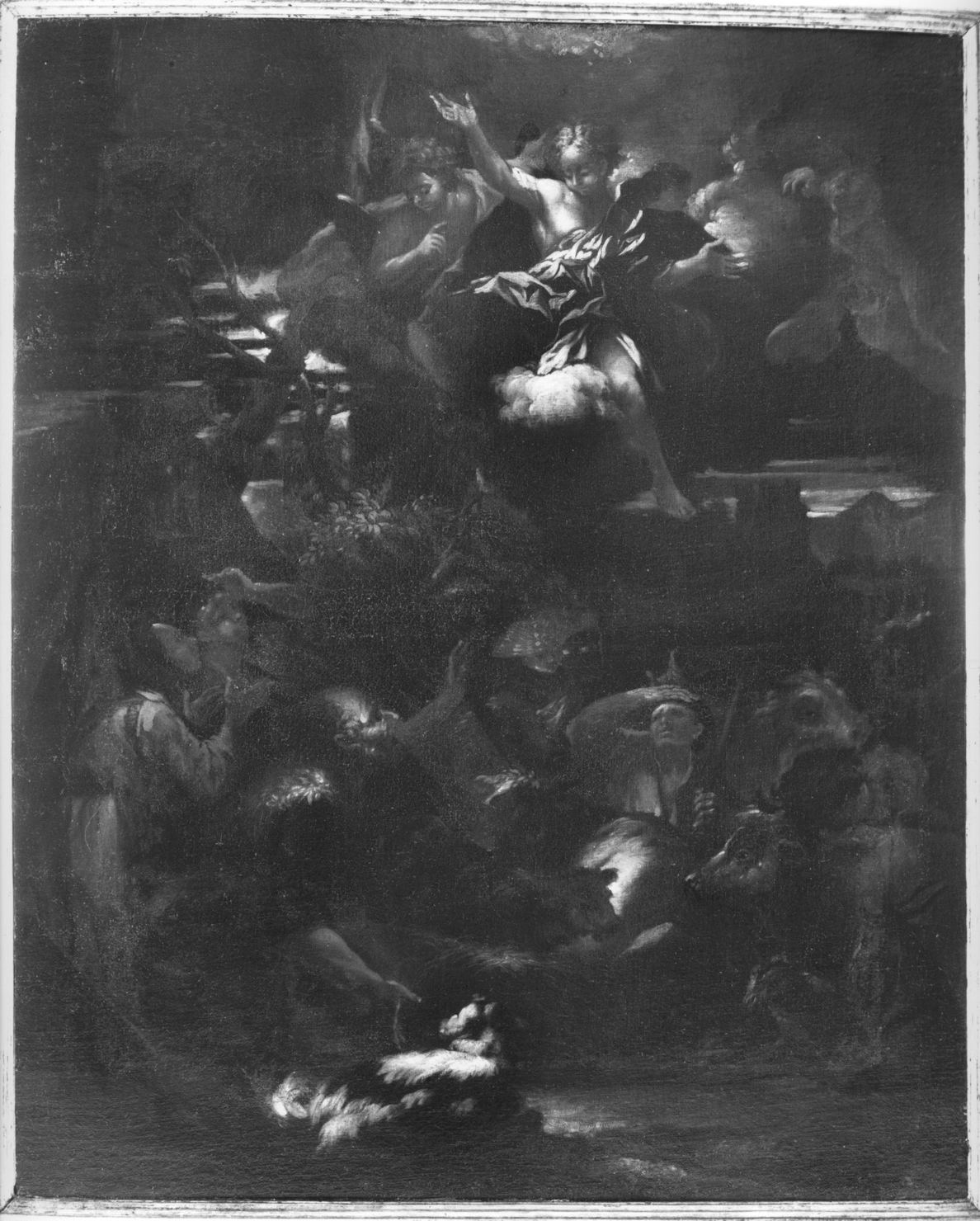 annuncio ai pastori (dipinto) di Mehus Livio (attribuito) (sec. XVII)