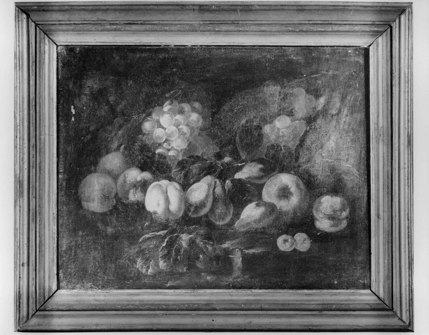 natura morta con frutta (dipinto) di Von Tamm Franz Werner (sec. XVII)