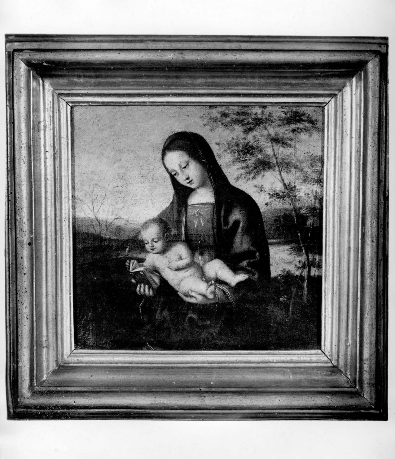 Madonna con Bambino (dipinto) di Costa Lorenzo (bottega) (prima metà sec. XVI)