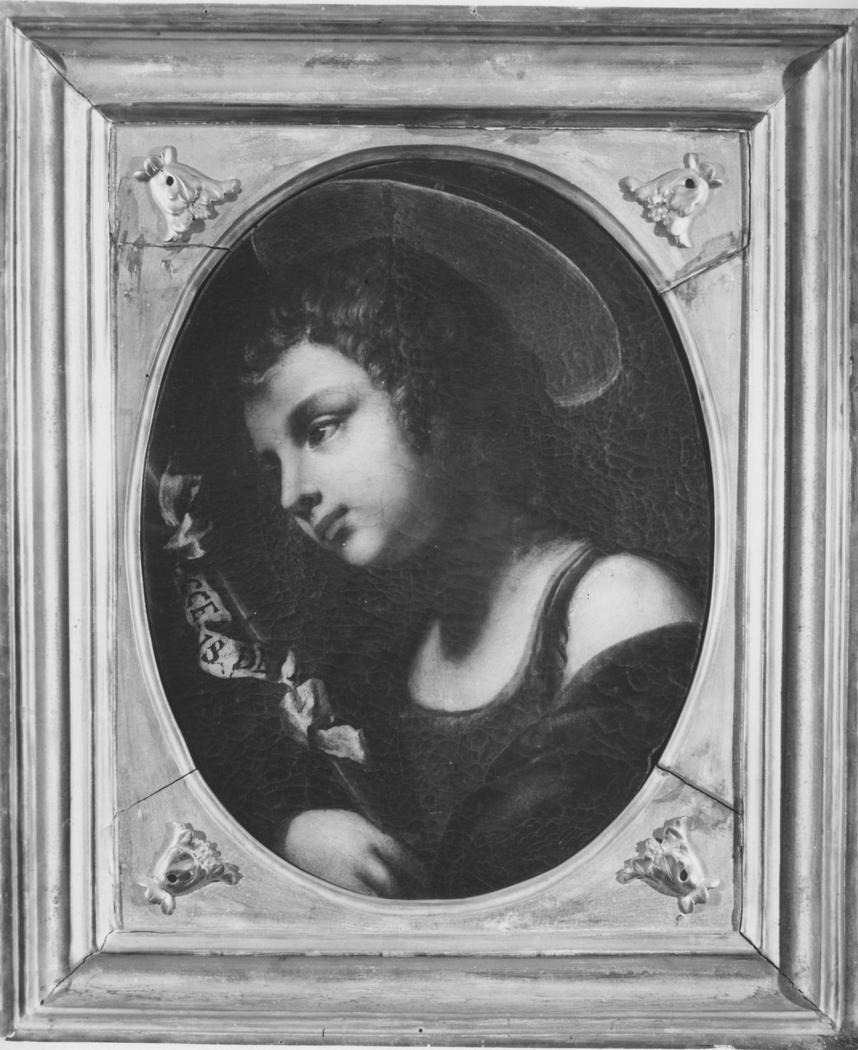 San Giovannino (dipinto) di Vignali Jacopo (attribuito) (sec. XVII)