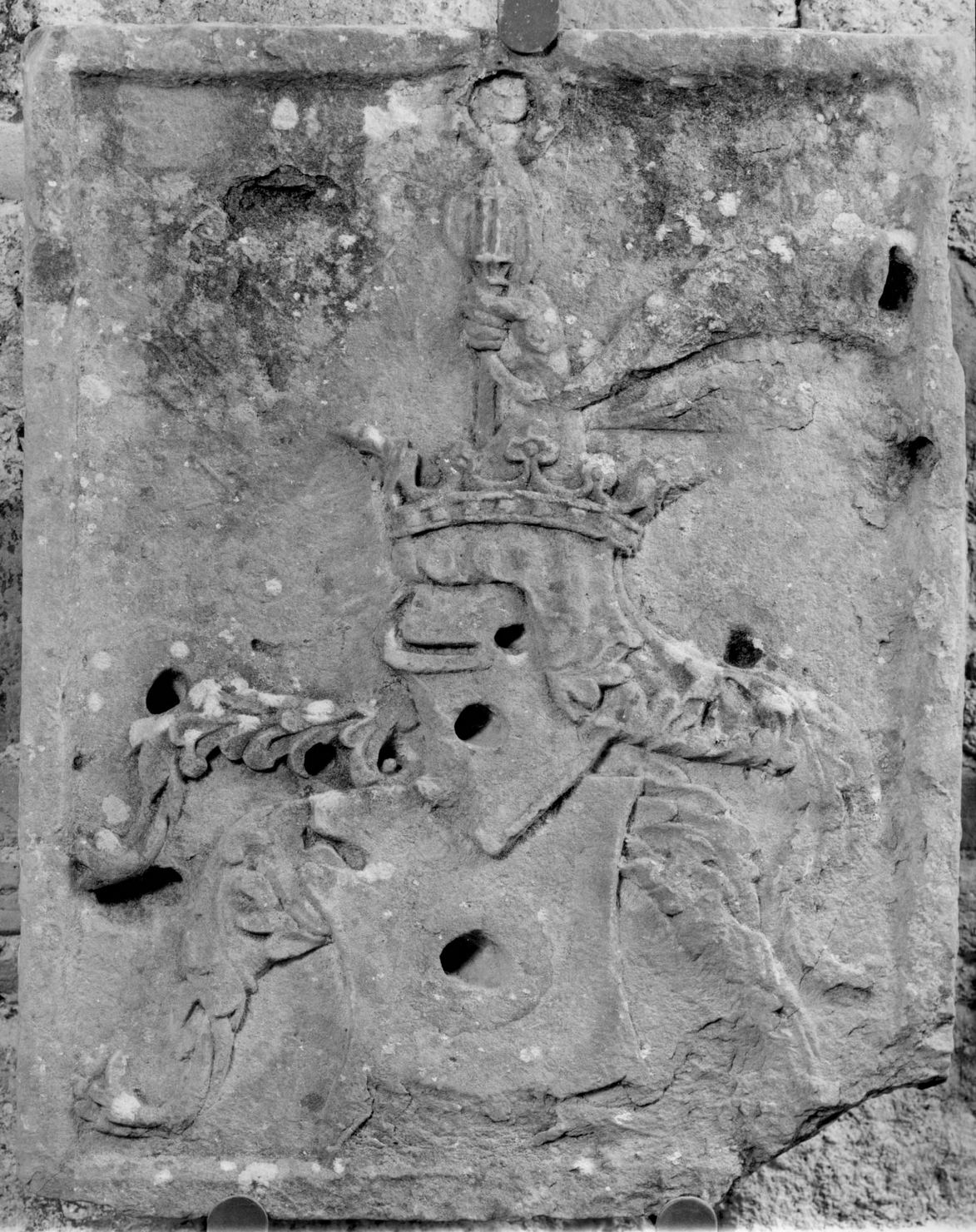 stemma (rilievo) - bottega toscana (sec. XVI)