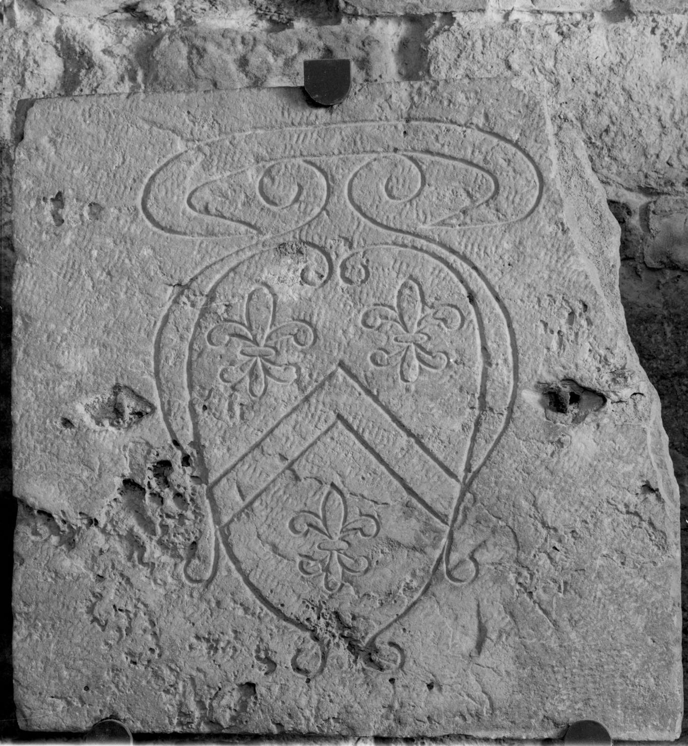 stemma gentilizio (rilievo) - bottega toscana (secc. XVI/ XVII)