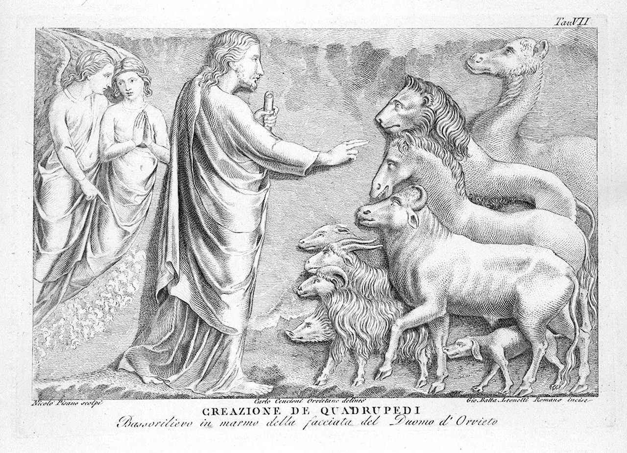 creazione degli animali (stampa, elemento d'insieme) di Leonetti Giovanni Battista, Cencioni Carlo (sec. XVIII)