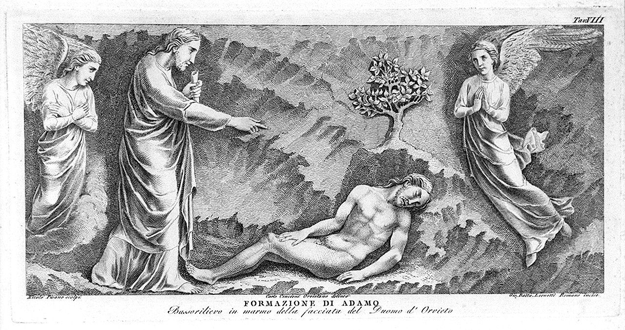creazione di Adamo (stampa, elemento d'insieme) di Leonetti Giovanni Battista, Cencioni Carlo (sec. XVIII)
