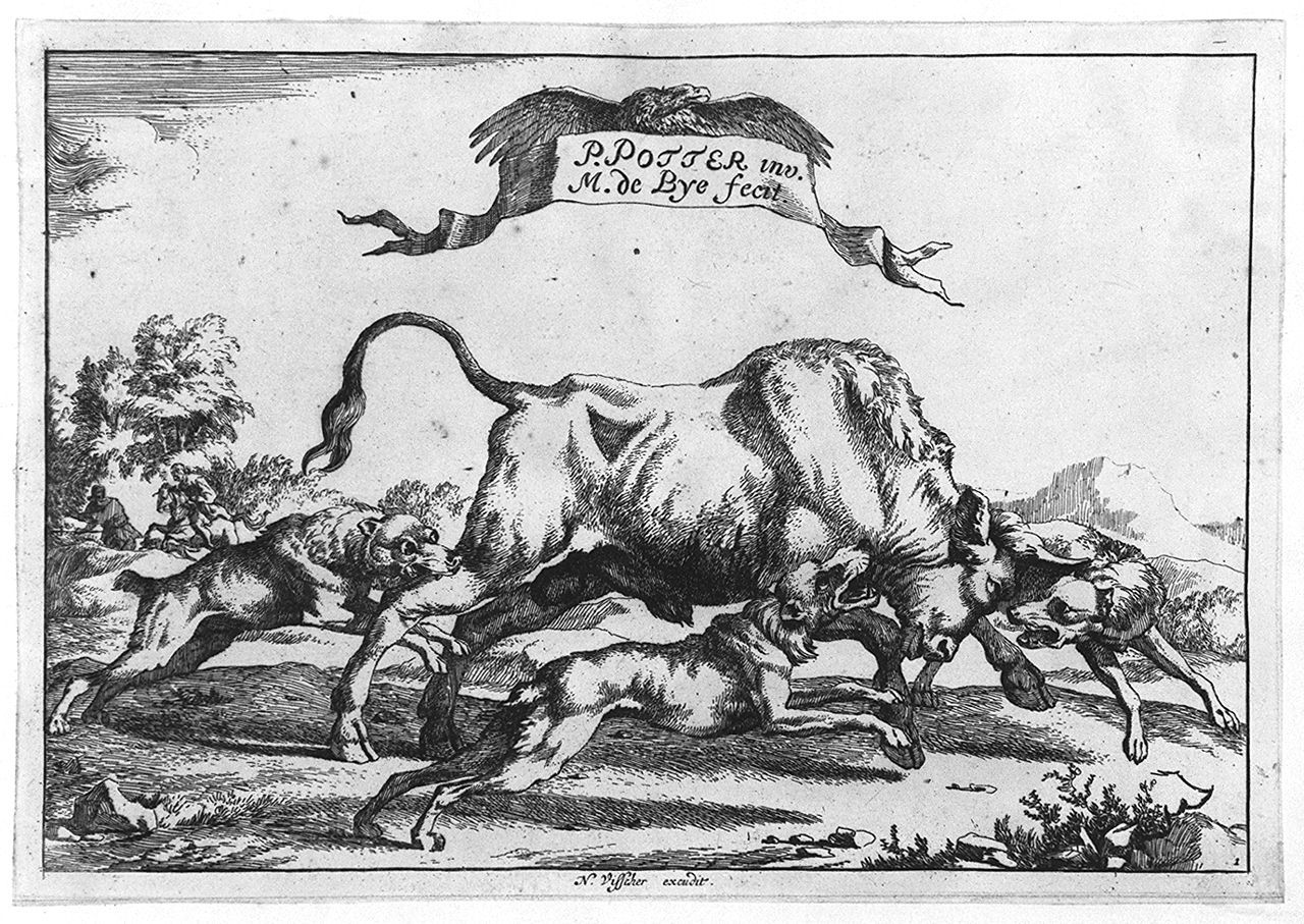 toro assalito da cani (stampa tagliata, elemento d'insieme) di Bye Marcus de, Potter Paulus (sec. XVII)