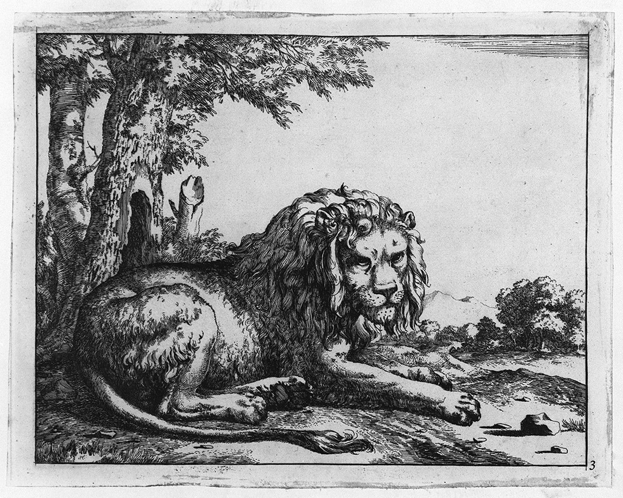 leone (stampa tagliata, elemento d'insieme) di Bye Marcus de, Potter Paulus (sec. XVII)
