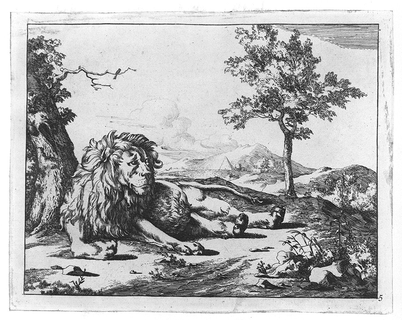 leone (stampa tagliata, elemento d'insieme) di Bye Marcus de, Potter Paulus (sec. XVII)