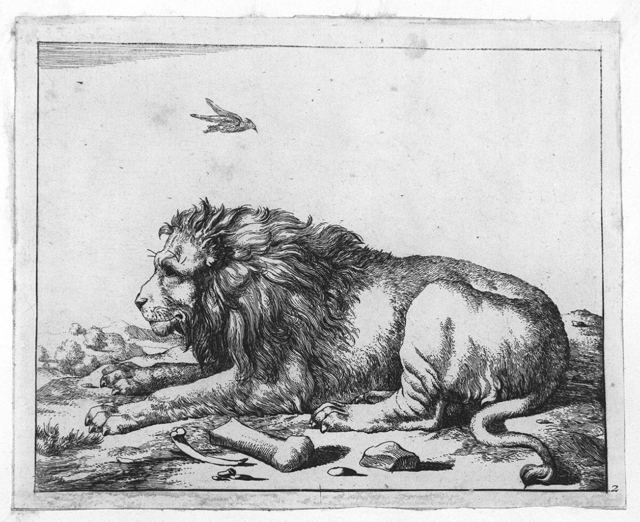 leone (stampa smarginata, elemento d'insieme) di Bye Marcus de, Potter Paulus (sec. XVII)