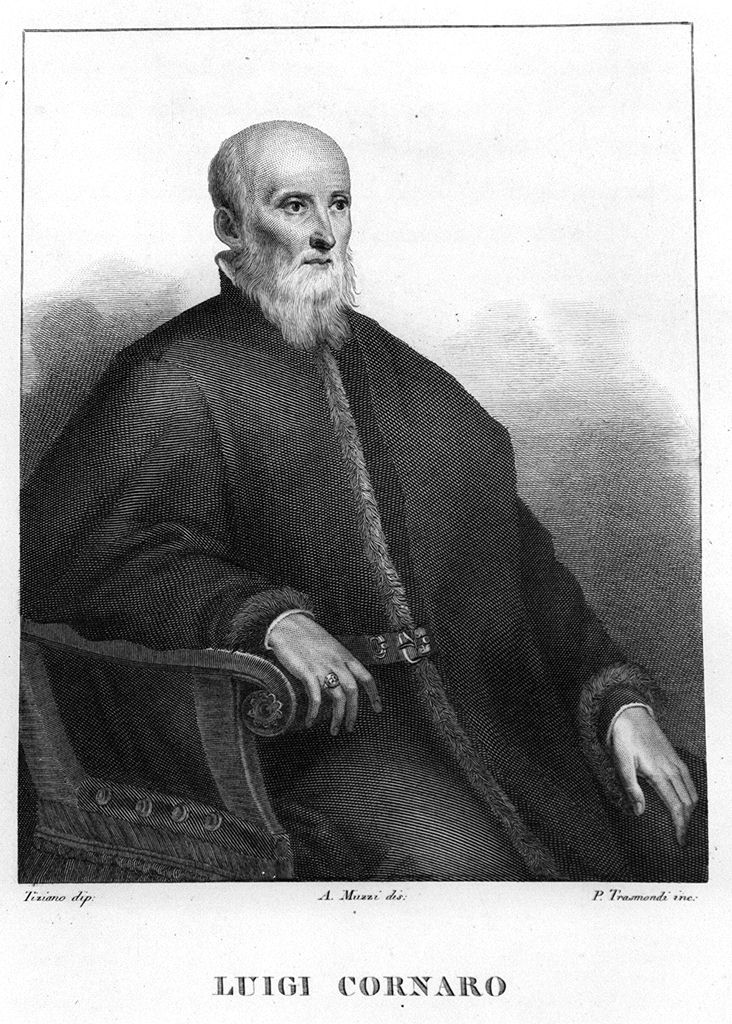 ritratto di Alvise Cornaro (stampa, elemento d'insieme) di Robusti Domenico detto Domenico Tintoretto (sec. XIX)
