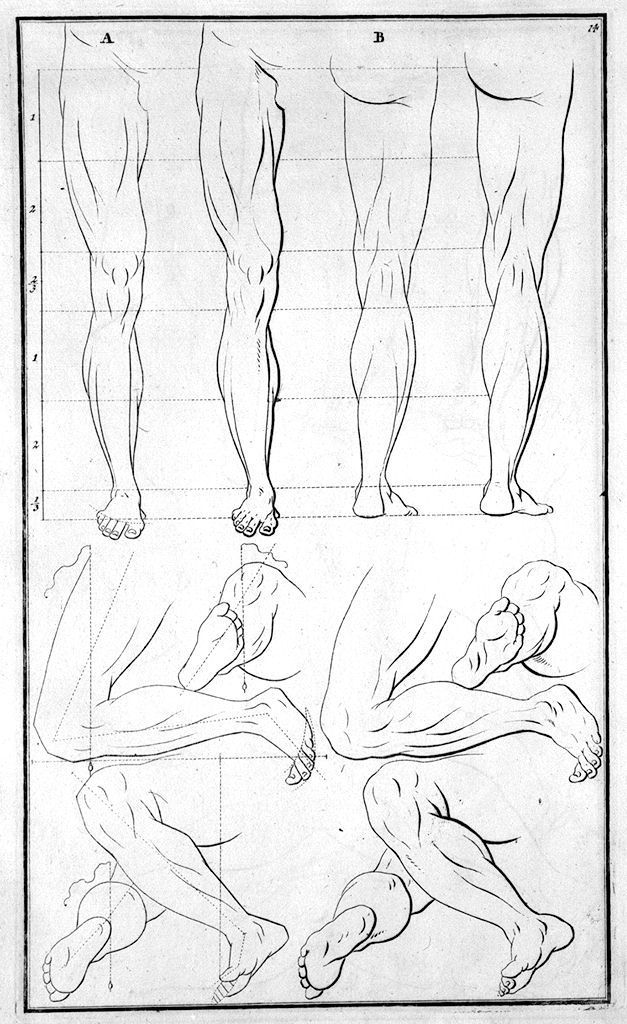gambe (stampa, elemento d'insieme) di Preissler Johann Daniel (sec. XVIII)