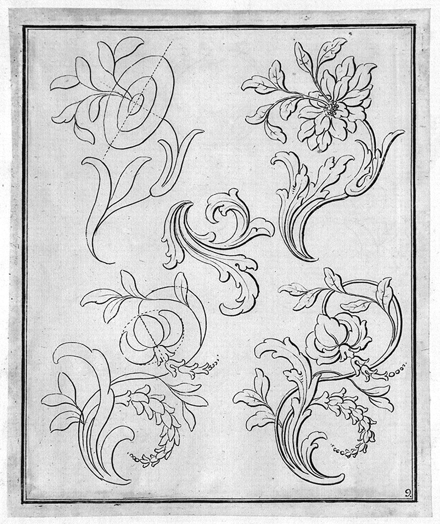 motivi decorativi floreali (stampa, elemento d'insieme) di Preissler Georg Martin, Preissler Johann Daniel (secc. XVIII/ XIX)