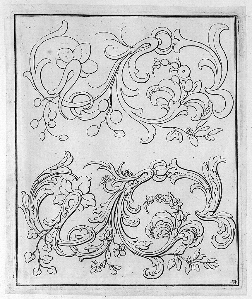 motivi decorativi vegetali (stampa, elemento d'insieme) di Preissler Georg Martin, Preissler Johann Daniel (secc. XVIII/ XIX)