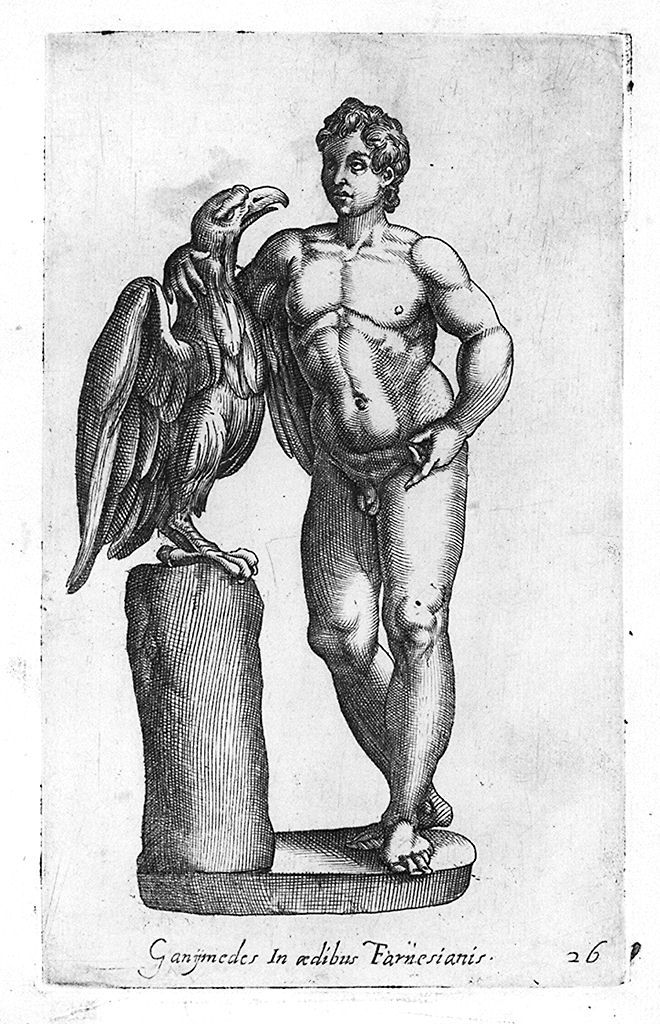 Ganimede (stampa, elemento d'insieme) di Cavalleriis Giovanni Battista de' (sec. XVI)