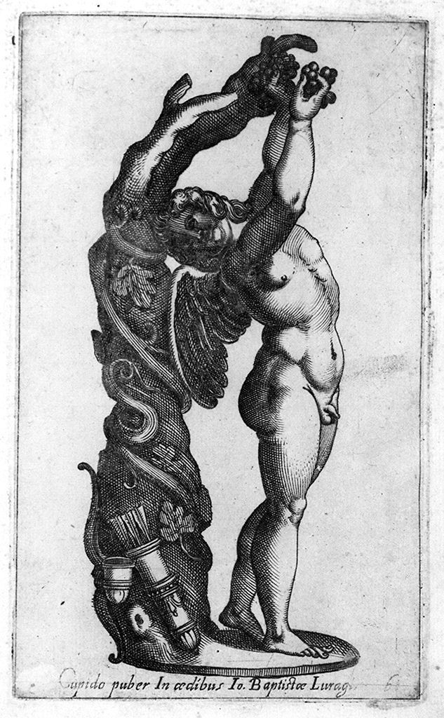 Cupido (stampa, elemento d'insieme) di Cavalleriis Giovanni Battista de' (sec. XVI)