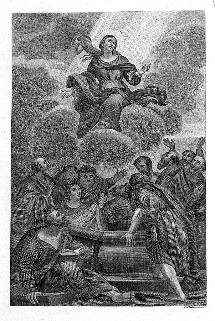 assunzione della Madonna (stampa, elemento d'insieme) di Cataneo Carlo (sec. XIX)