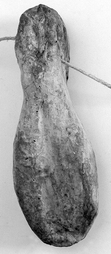 piede (ex voto antropomorfo) - valdelsano (secc. XVI/ XVIII)