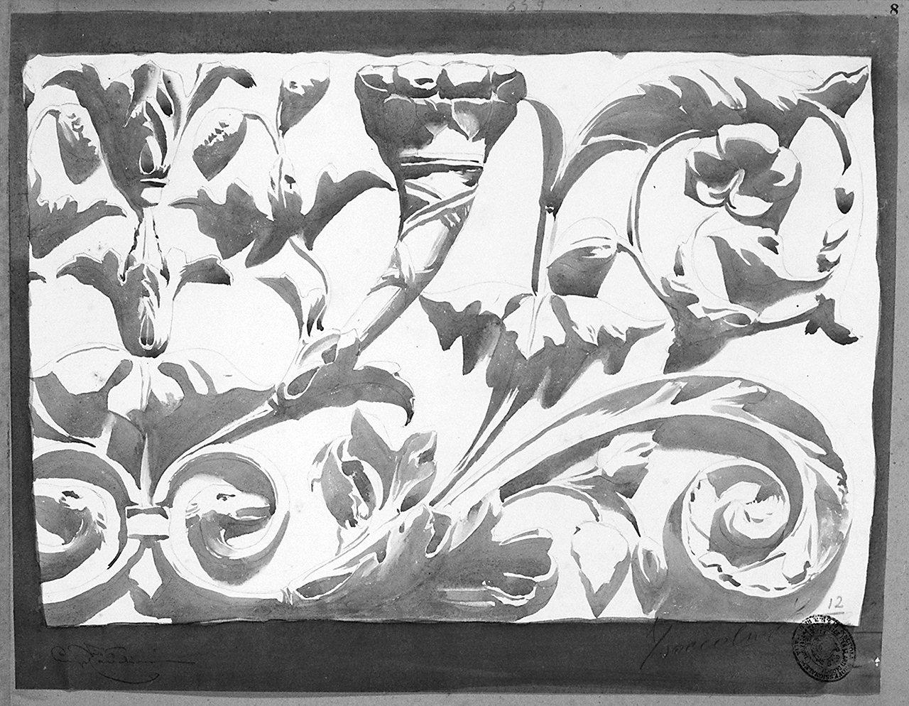 motivi decorativi a girali vegetali (disegno) di Bocaletti Guido (secc. XIX/ XX)