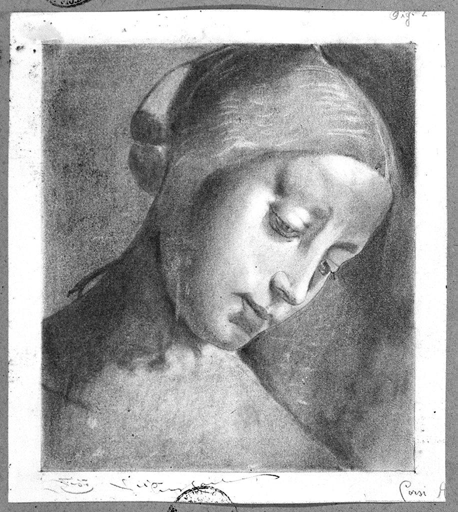 testa di donna (disegno) di Corsi Antenore (sec. XX)