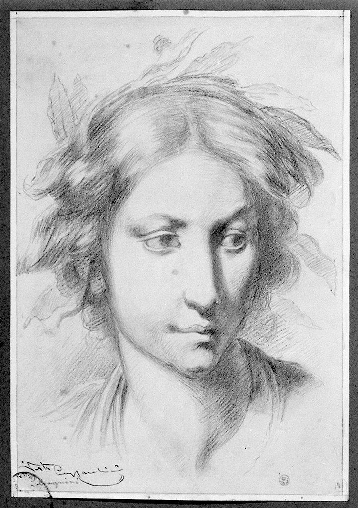 testa di donna (disegno) di Lavagnini Carlo (sec. XX)