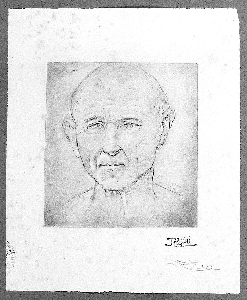 testa d'uomo (disegno) di Zini Renato (sec. XX)