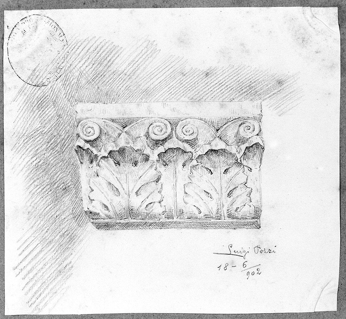 motivi decorativi a foglie d'acanto (disegno) di Pozzi Luigi (sec. XX)