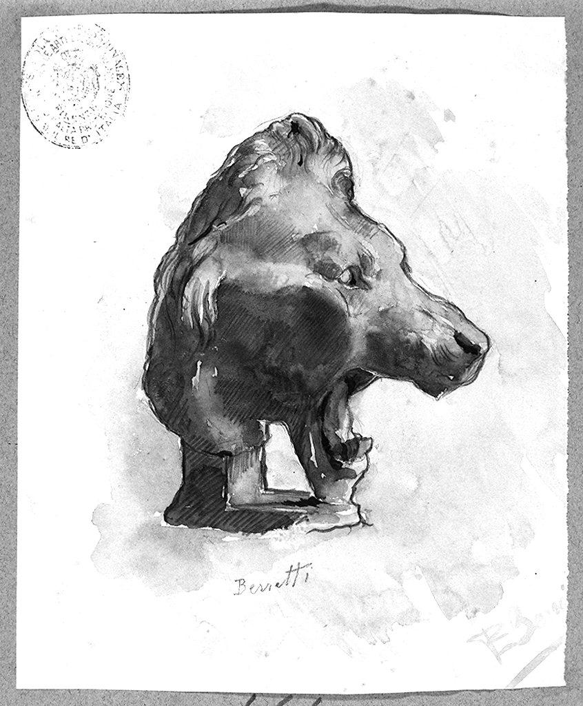 testa di leone (disegno) di Berretti Enrico (sec. XX)